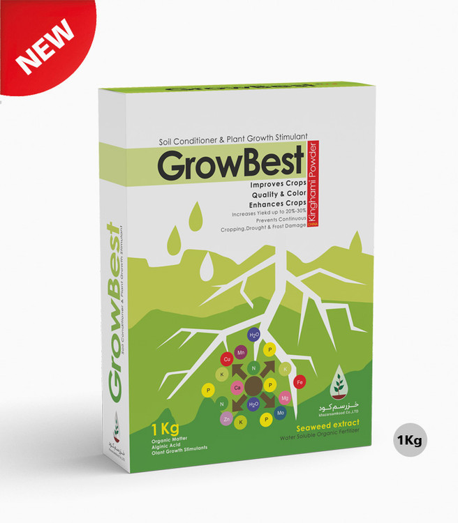 جلبک دریایی گروبست