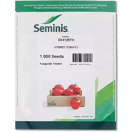 بذر گوجه 4129