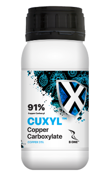 بالاترین درصد مس در جهان