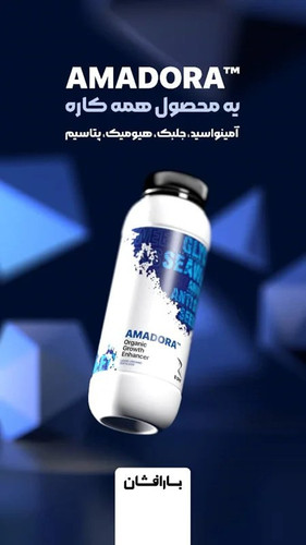 جلبک دریایی