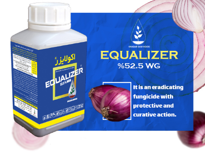 سم قارچ کش اکوشن پرو اکولایزر(فاموکسادون + سیموکسانیل)